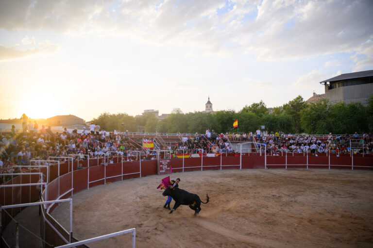 Fiestas Huerta - 564