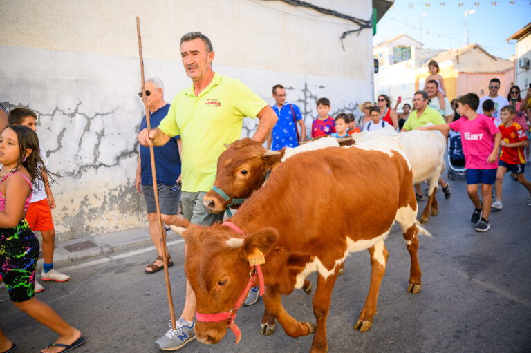 Fiestas Huerta - 852