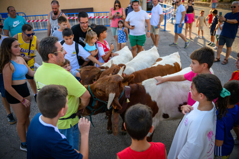 Fiestas Huerta - 853